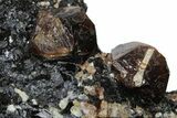 Fluorescent Zircon Crystals in Biotite Schist - Norway #228212-3
